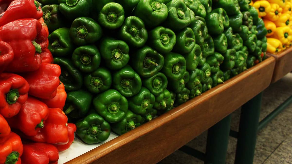 A person holding a seedling, representing sustainable agriculture.