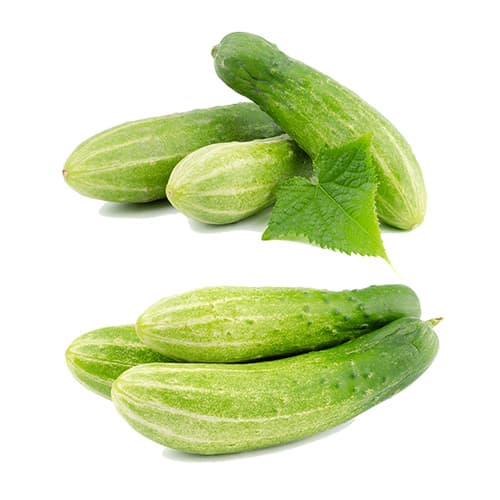 Cucumber
